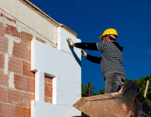 Best Geographic-Specific Insulation Services in Somerville, TN
