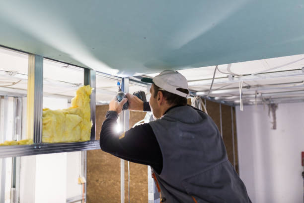Best Commercial Insulation in Somerville, TN