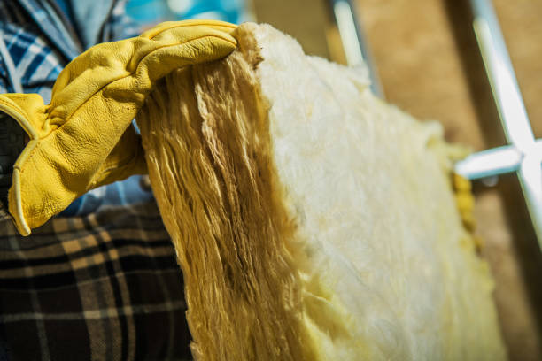 Best Eco-Friendly Insulation in Somerville, TN