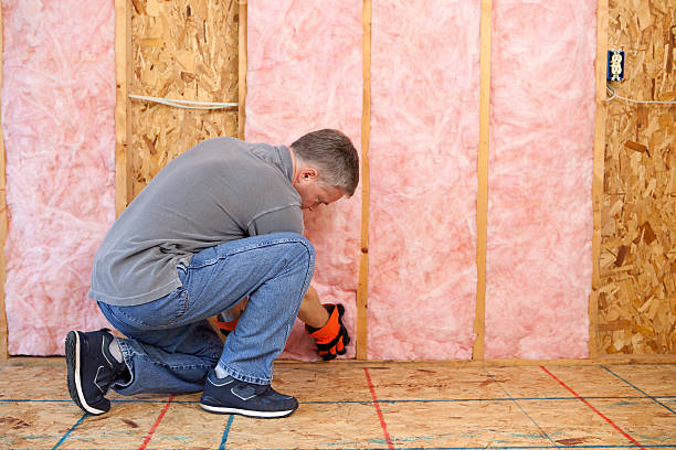 Best Geographic-Specific Insulation Services in Somerville, TN